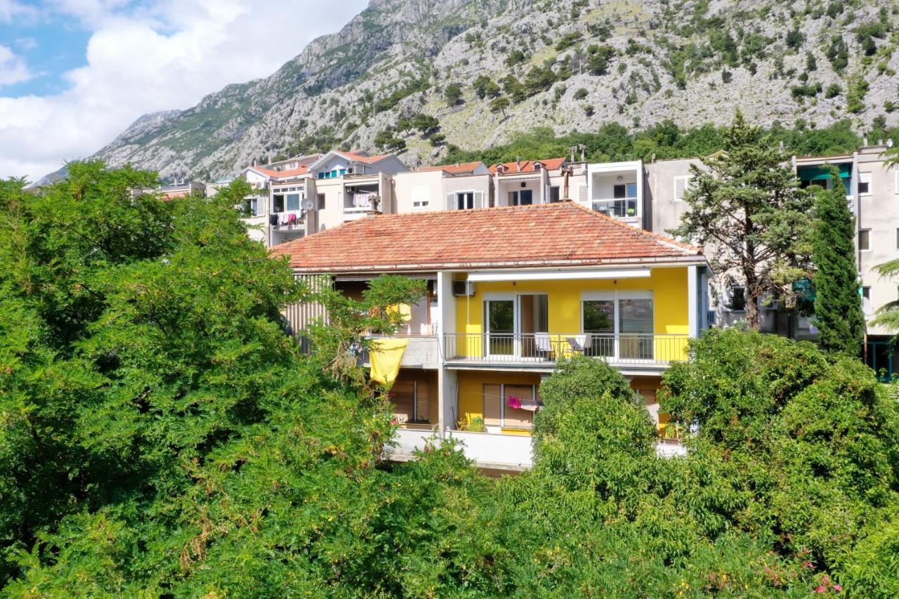 Viola Lux Apartments Kotor Dış mekan fotoğraf